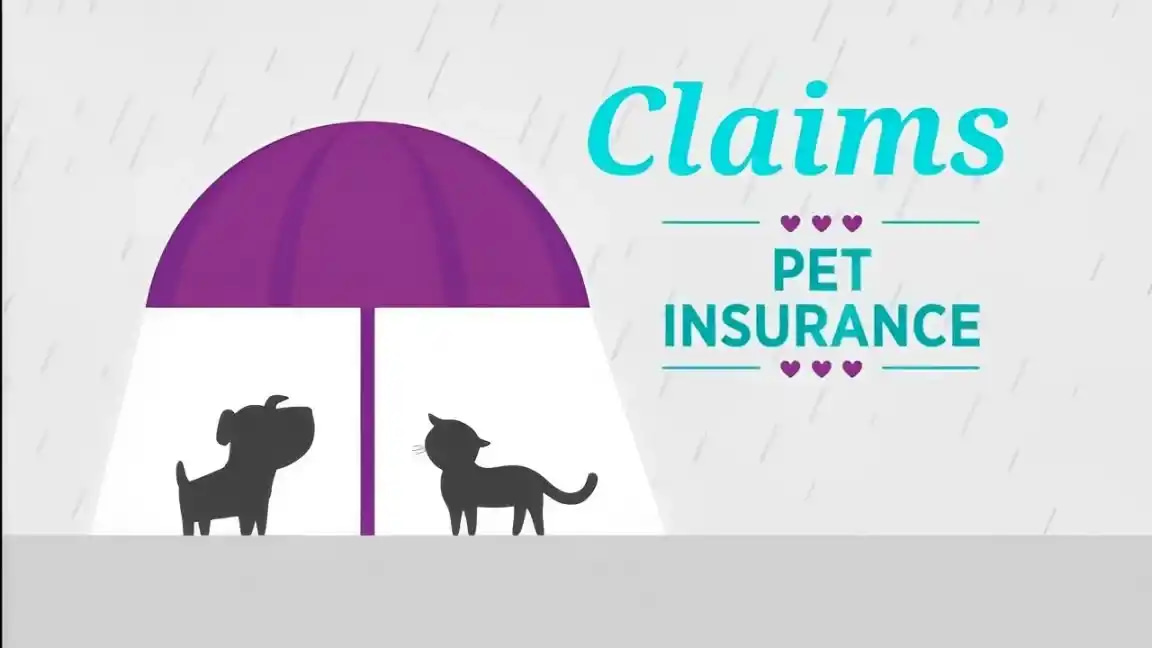 pet insurance claims process explained chart
