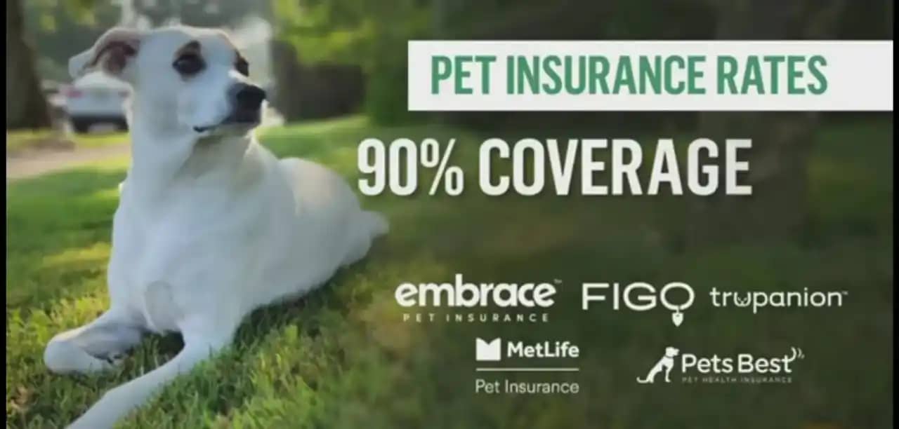 pet insurance companies in usa